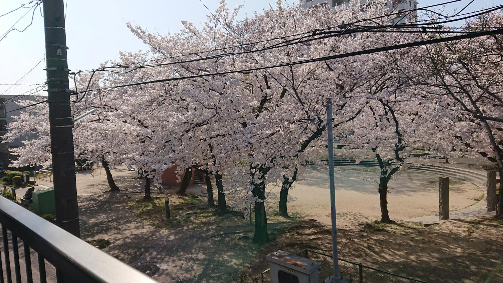 Show Wa No Yado Tsuchiya 名古屋市 エクステリア 写真